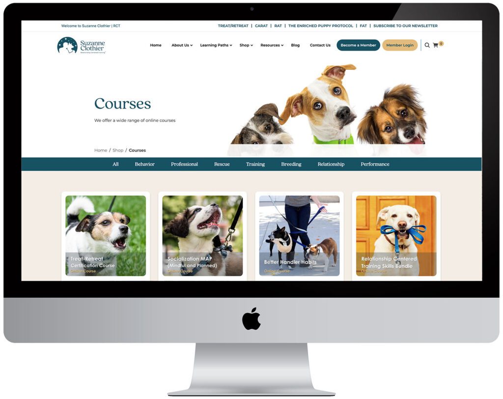 suzanne clothier03 suzanne clothier03